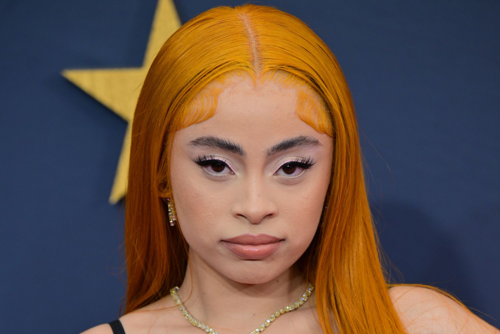 Ice Spice Before Fame