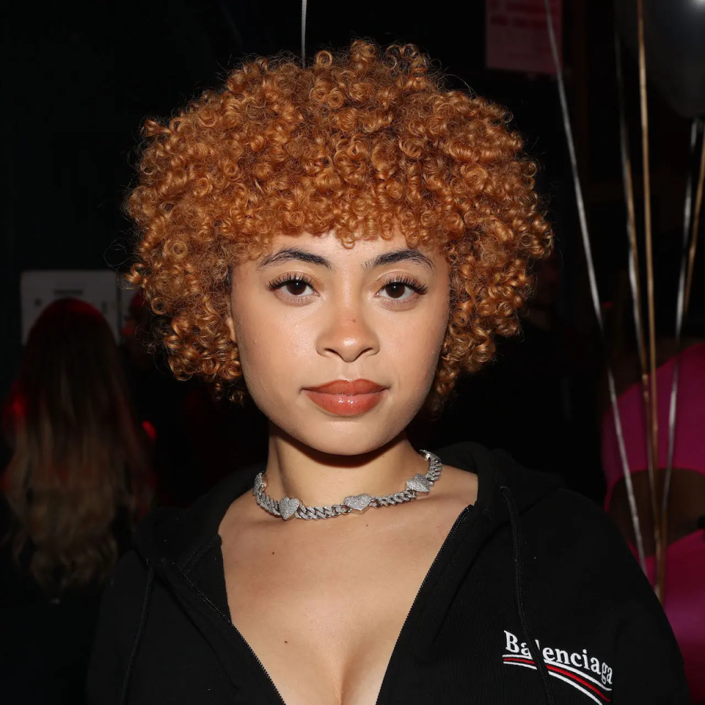 Ice Spice Future Plan and Goals